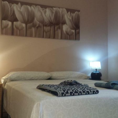 קורדובה Apartamento La Reina מראה חיצוני תמונה